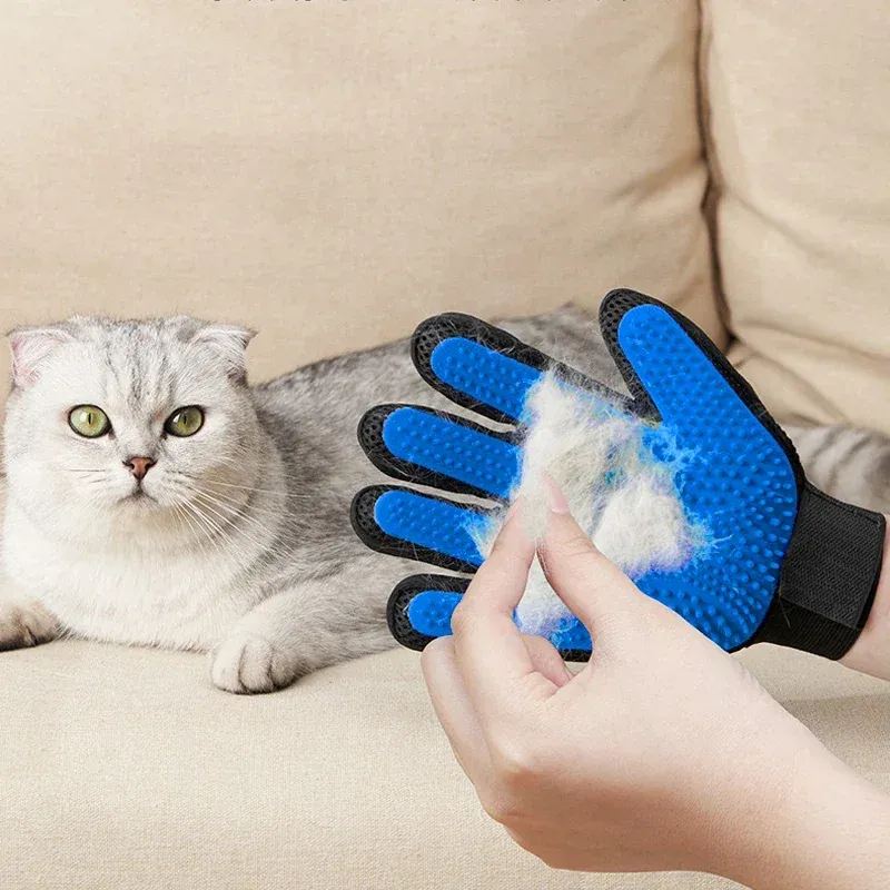 Sezruos – Pflege, Napf und Spiel für Hund & Katze